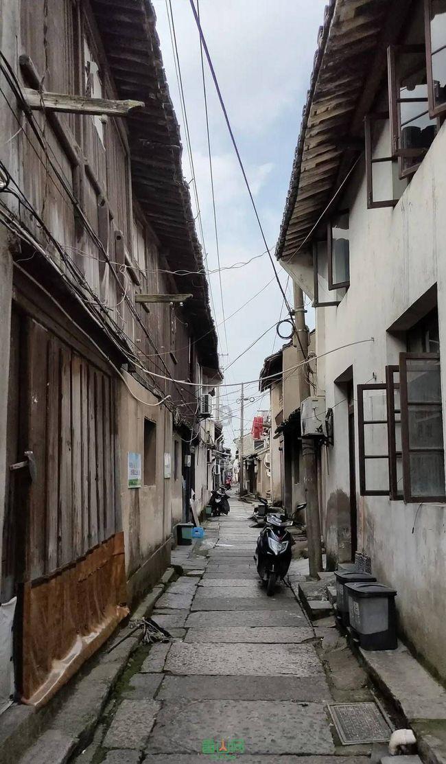 综述|人工智能治理持续受国际关注